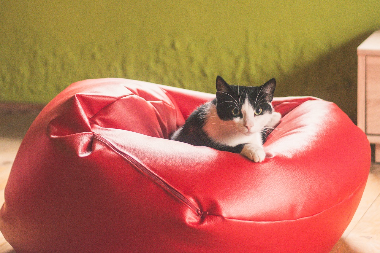 Les bienfaits de s’asseoir sur un pouf poire à la maison.